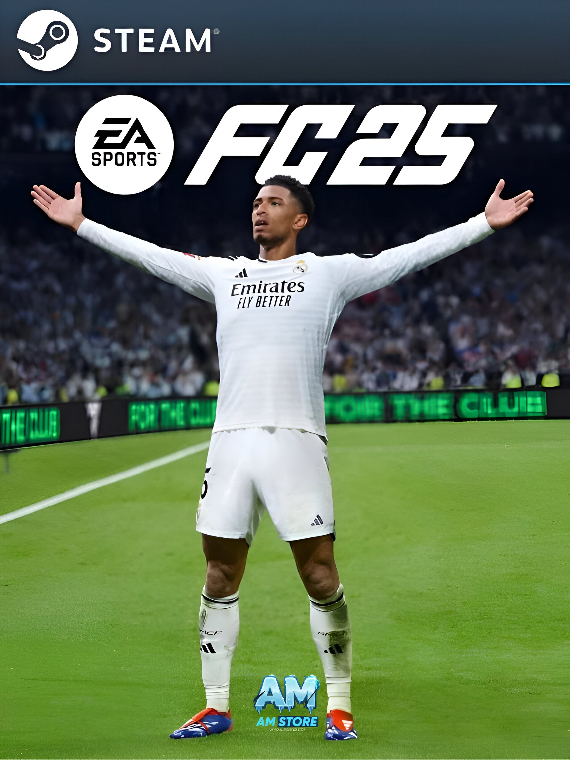 EA Sports FC 25 – Full Account (Steam Online)